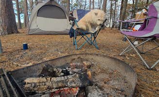 Vanessa M.'s photo at Tompkins Bend near Ouachita National Forest