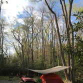 Review photo of Audra State Park Campground by Dave V., May 24, 2018