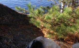 Janet R.'s photo of camping with pets at Meander Lake near Superior National Forest