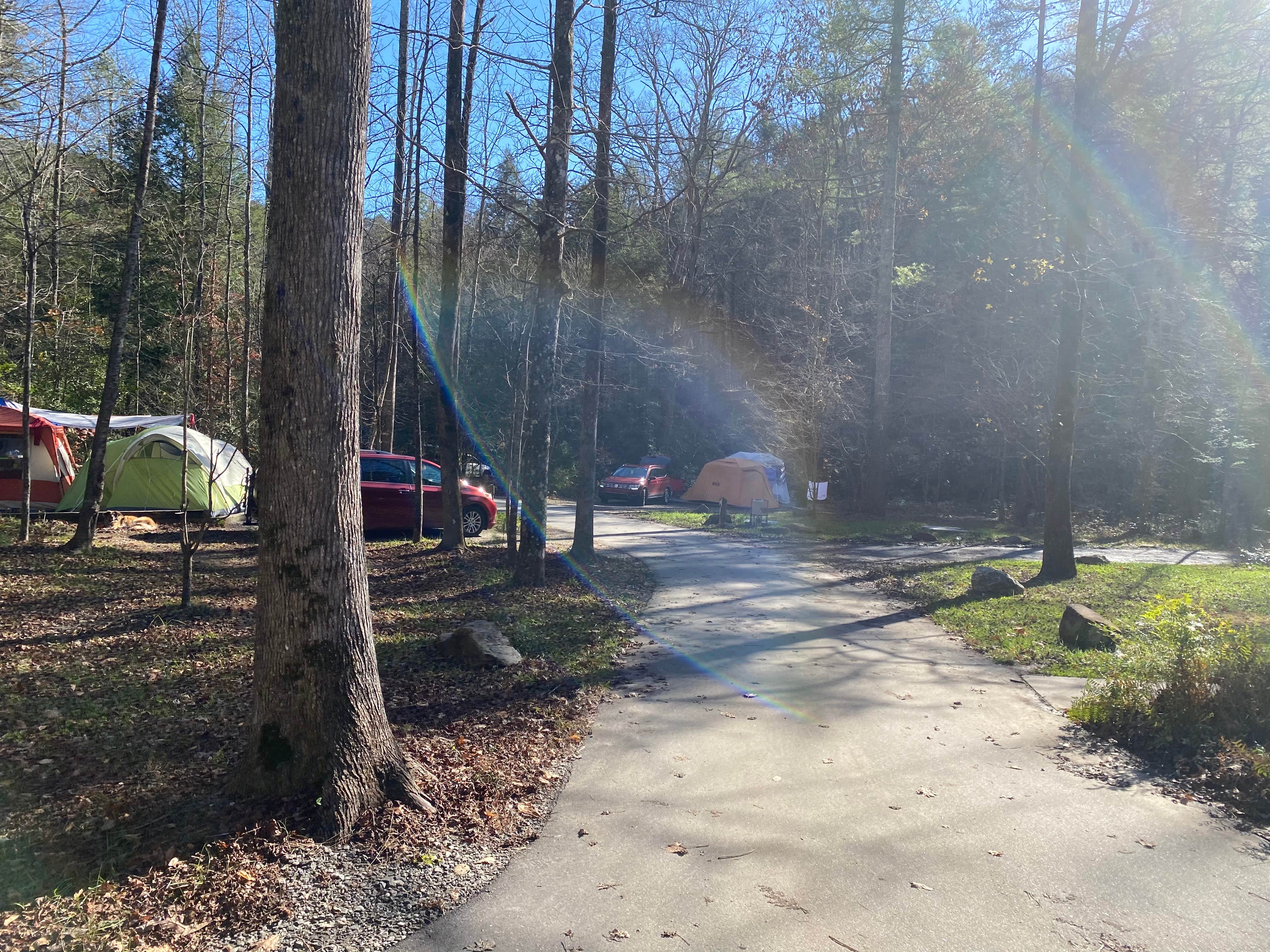Shelly S.'s photo at South Mountains State Park Family Campground near Granite Falls, NC