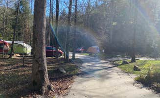 Shelly S.'s photo at South Mountains State Park Family Campground near Casar, NC