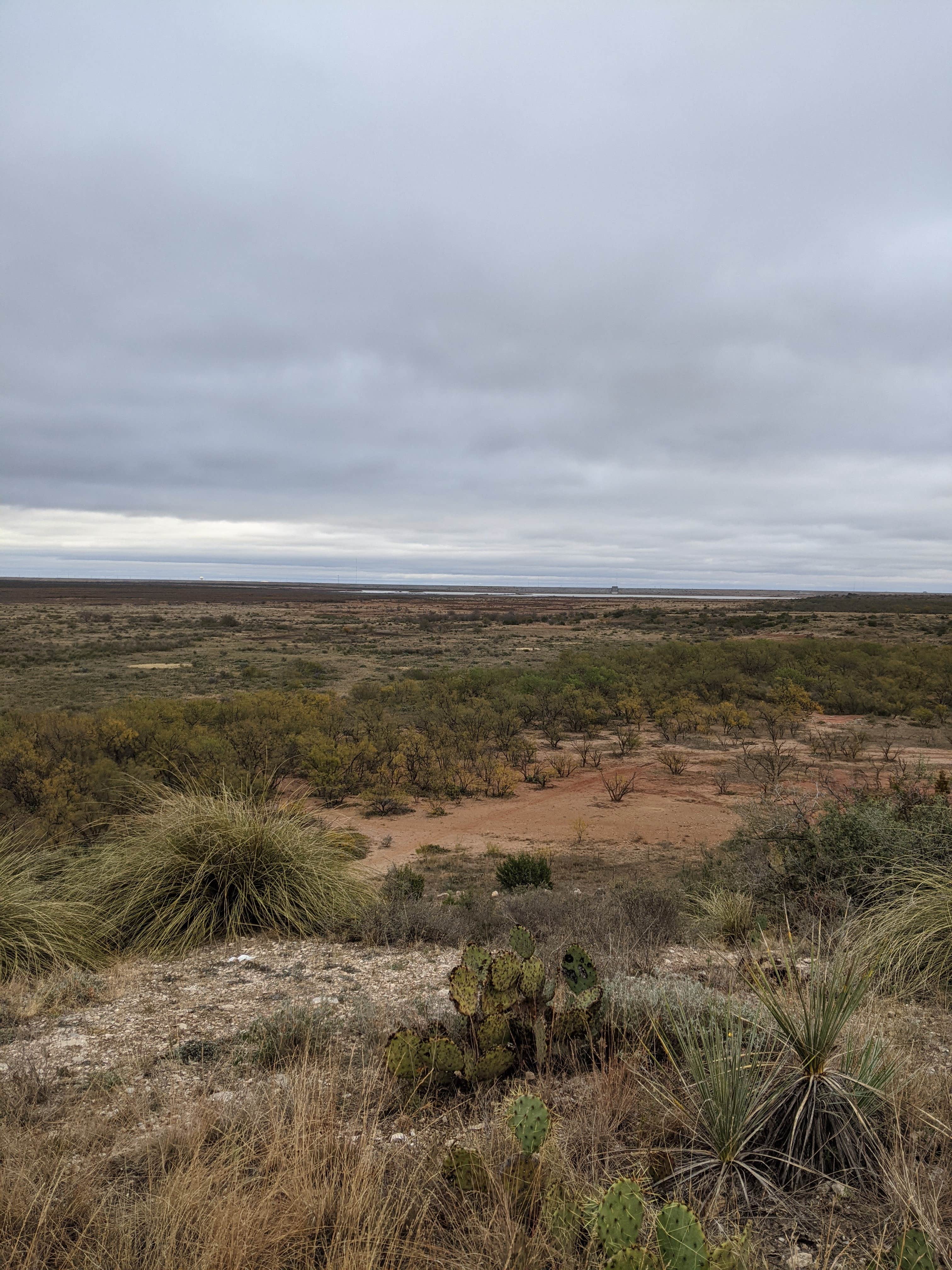 Camper-submitted photo at Bald Eagle Creek near Robert Lee, TX
