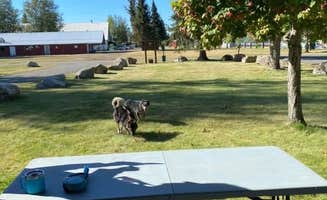 Shelly S.'s photo of camping with pets at Bonner County Fairgrounds near Moyie Springs, ID