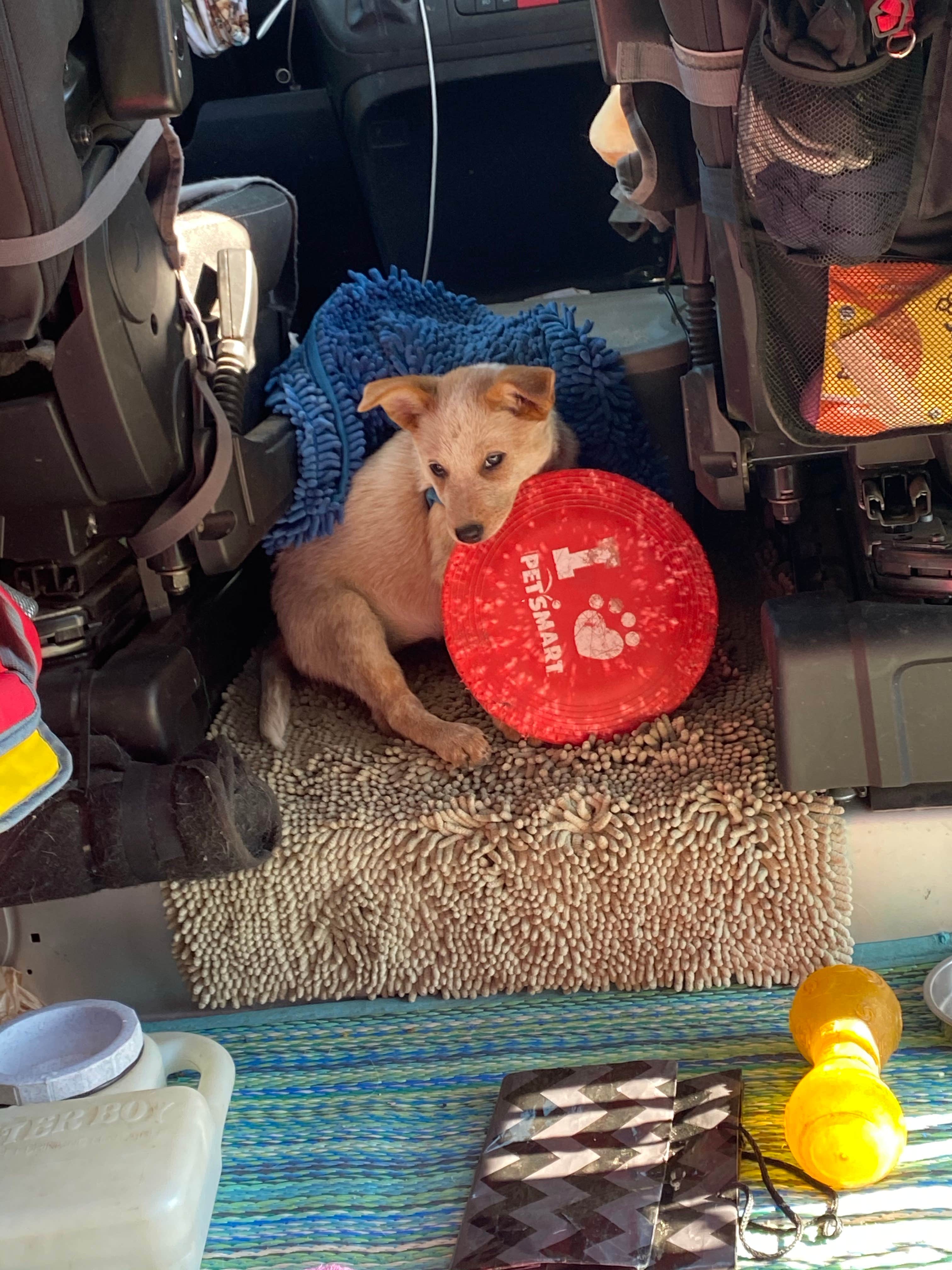 Camper-submitted photo at Bonner County Fairgrounds near Athol, ID