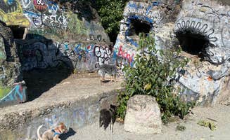 Shelly S.'s photo of camping with pets at Bonner County Fairgrounds near Sandpoint, ID