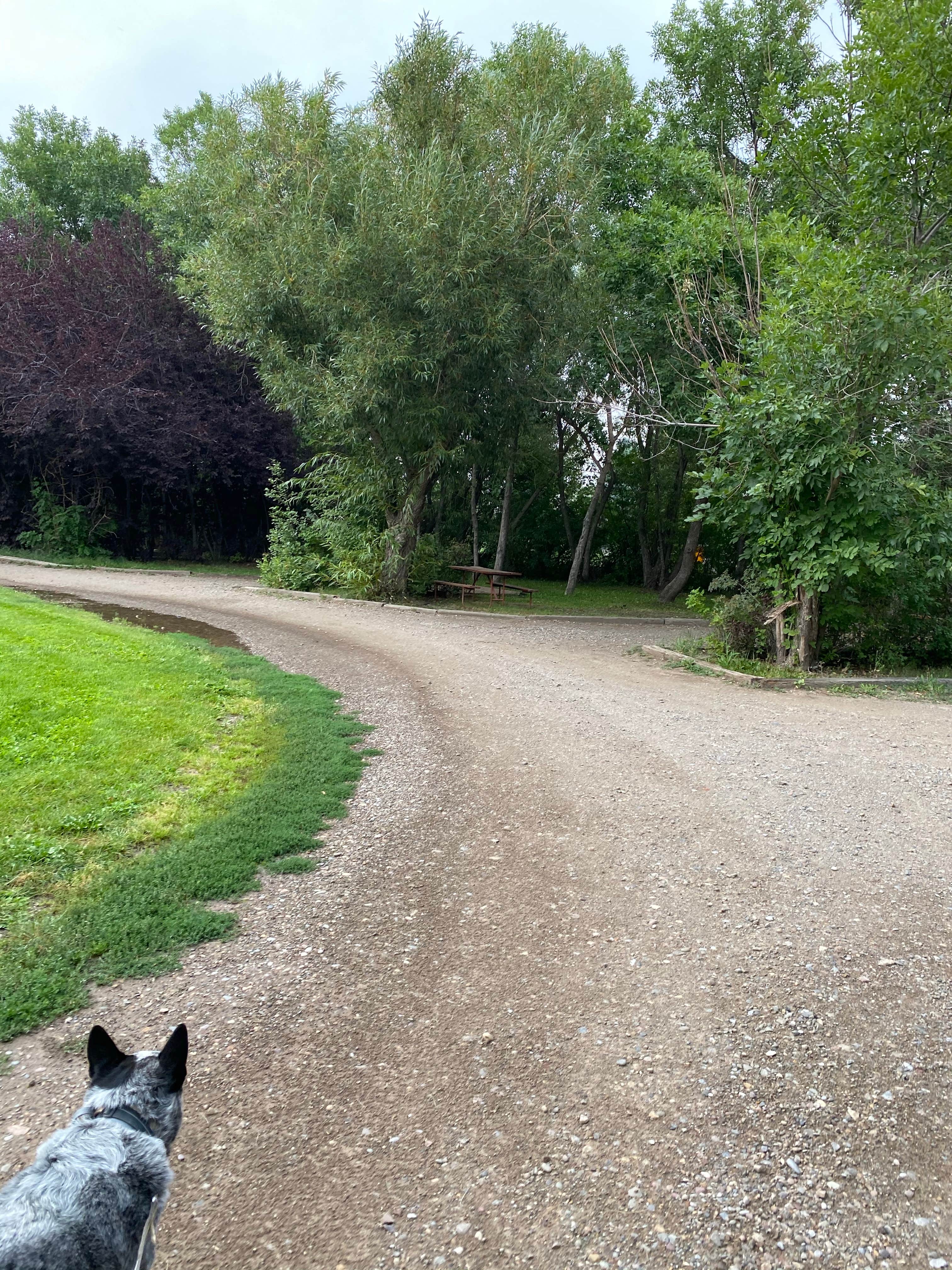 Camper-submitted photo at Great Falls KOA near Lewis and Clark National Forest