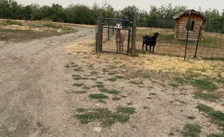 Shelly S.'s photo of camping with pets at Great Falls KOA near Neihart, MT