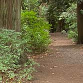 Review photo of Birch Bay State Park Campground by Shelly S., November 29, 2020