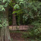 Review photo of Birch Bay State Park Campground by Shelly S., November 29, 2020