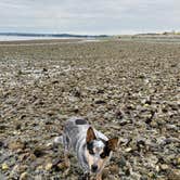 Review photo of Birch Bay State Park Campground by Shelly S., November 29, 2020