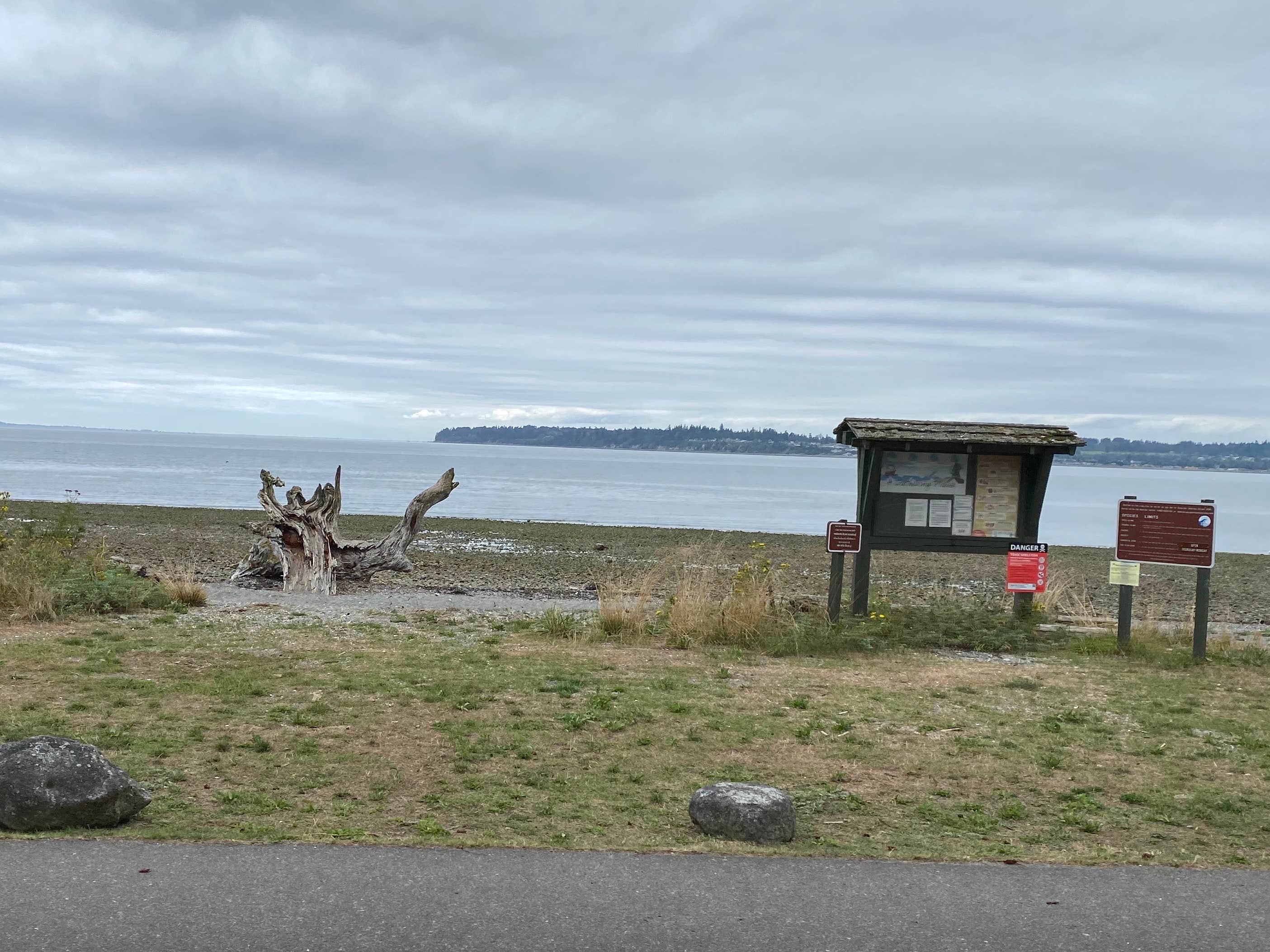 Camper submitted image from Birch Bay State Park Campground - 1
