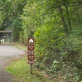 Review photo of Birch Bay State Park Campground by Shelly S., November 29, 2020