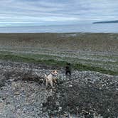 Review photo of Birch Bay State Park Campground by Shelly S., November 29, 2020