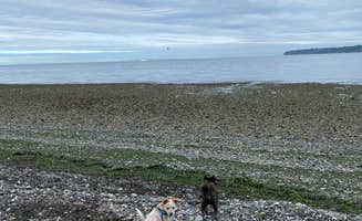 Shelly S.'s photo of camping with pets at Birch Bay State Park Campground near Bellingham, WA
