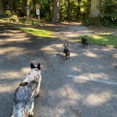 Review photo of Larrabee State Park Campground by Shelly S., November 30, 2020