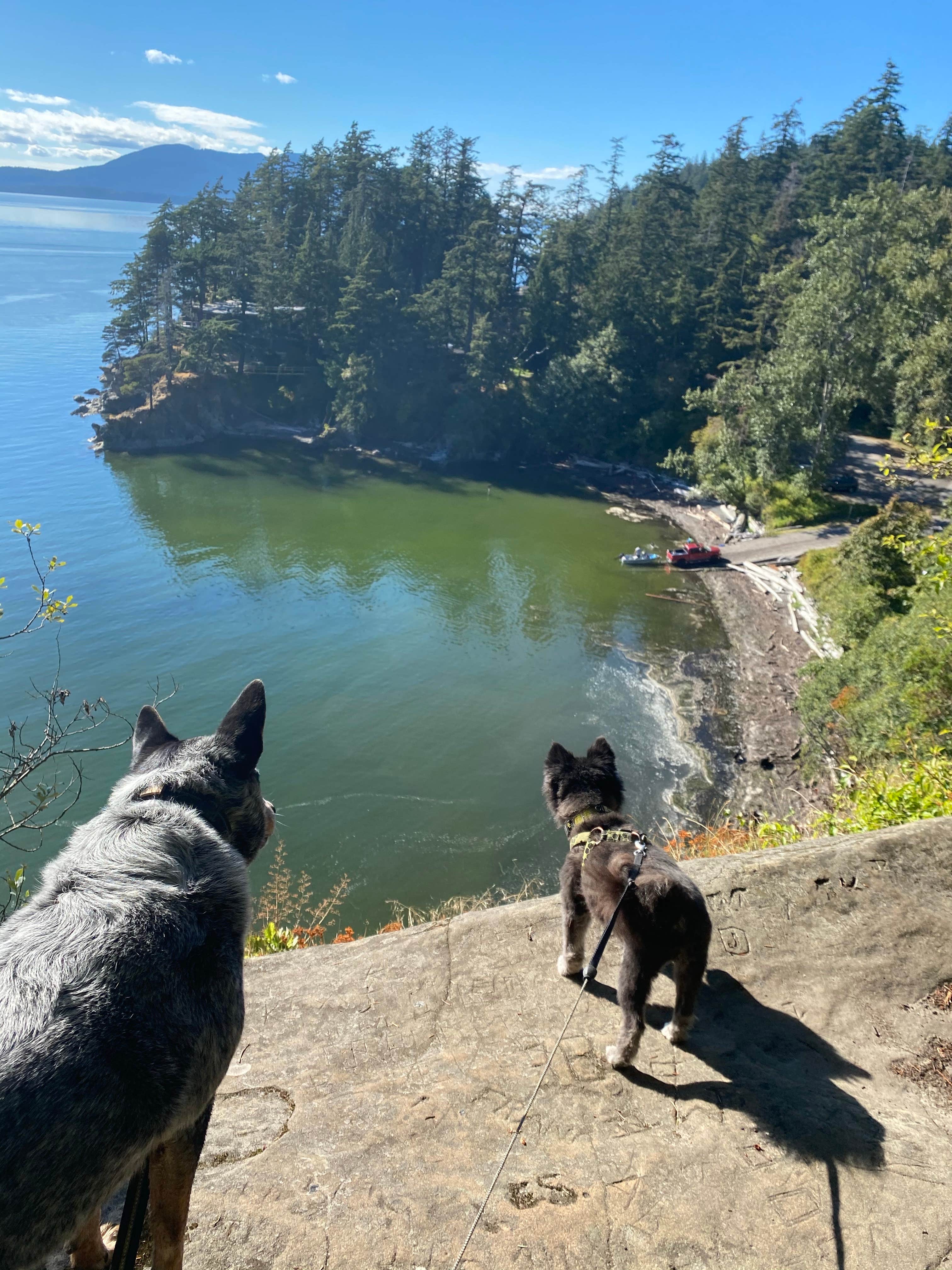 Shelly S.'s photo of camping with pets at Larrabee State Park Campground near Sedro-Woolley, WA