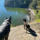 Review photo of Larrabee State Park Campground by Shelly S., November 30, 2020