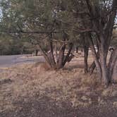 Review photo of Mesa Campground by David , November 30, 2020