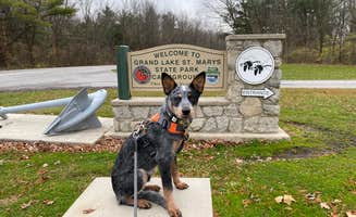 Andrea F.'s photo of camping with pets at Grand Lake St. Marys State Park — Grand Lake St Marys State Park near Ossian, IN