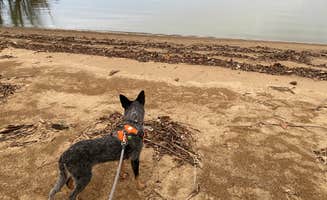 Andrea F.'s photo of camping with pets at Grand Lake St. Marys State Park Campground near Lima, OH
