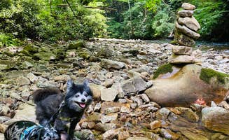 Shelly S.'s photo of camping with pets at Backbone Rock Recreation Area Pavilions and Campground near Laurel Bloomery, TN