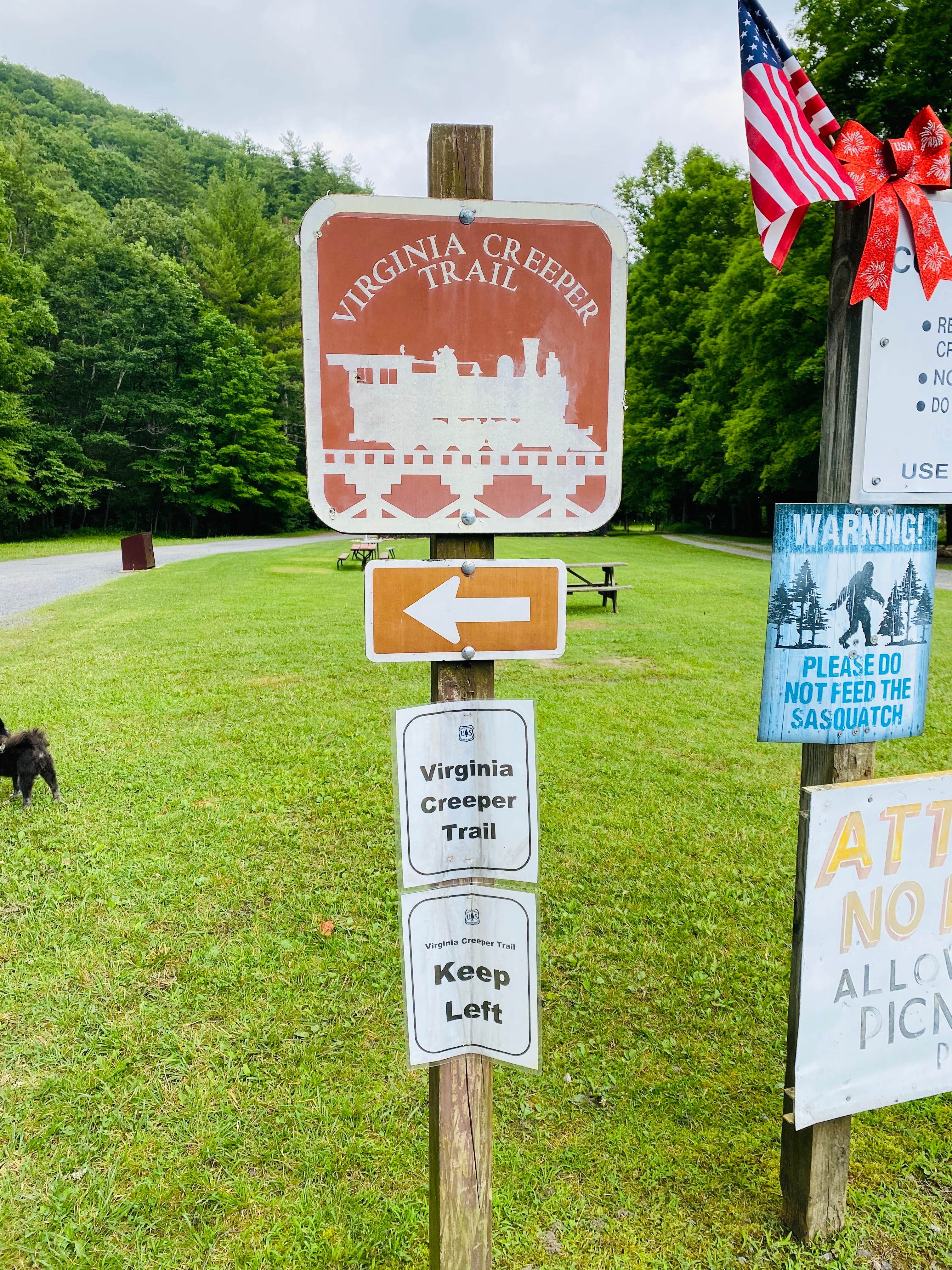 Shelly S.'s photo of camping with pets at Backbone Rock Recreation Area Pavilions and Campground near Bristol, VA