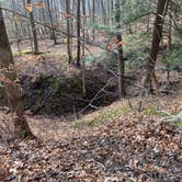 Review photo of Mohican State Park Campground by Andrea F., November 30, 2020