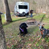 Review photo of Mohican State Park Campground by Andrea F., November 30, 2020