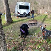 Review photo of Mohican State Park by Andrea F., November 30, 2020