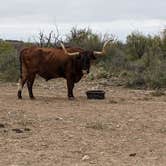 Review photo of Red Arroyo — San Angelo State Park by Bob M., November 30, 2020