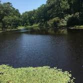 Review photo of Westmoreland State Park Campground by Susan P., November 30, 2020