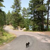 Review photo of Horsethief Lake Campground by Shelly S., November 30, 2020