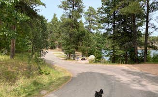 Shelly S.'s photo of camping with pets at Horsethief Lake Campground near Black Hills National Forest