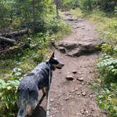 Review photo of Horsethief Lake Campground by Shelly S., November 30, 2020