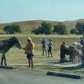 Review photo of Stockade North Campground — Custer State Park by Shelly S., November 30, 2020