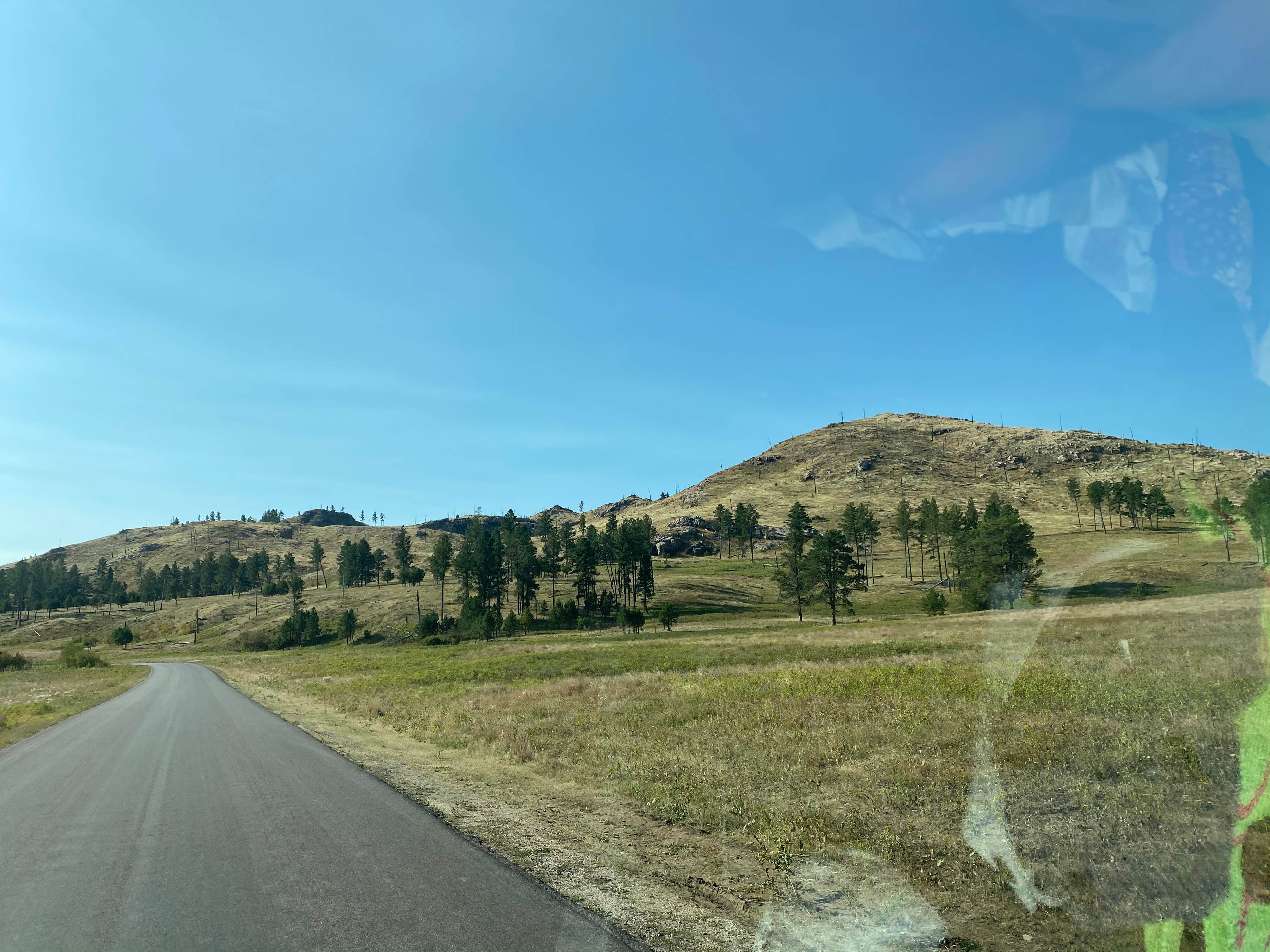 Camper submitted image from Stockade North Campground — Custer State Park - 5