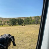 Review photo of Stockade North Campground — Custer State Park by Shelly S., November 30, 2020