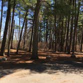 Review photo of Lake Bemidji State Park Campground by Janet R., May 24, 2018