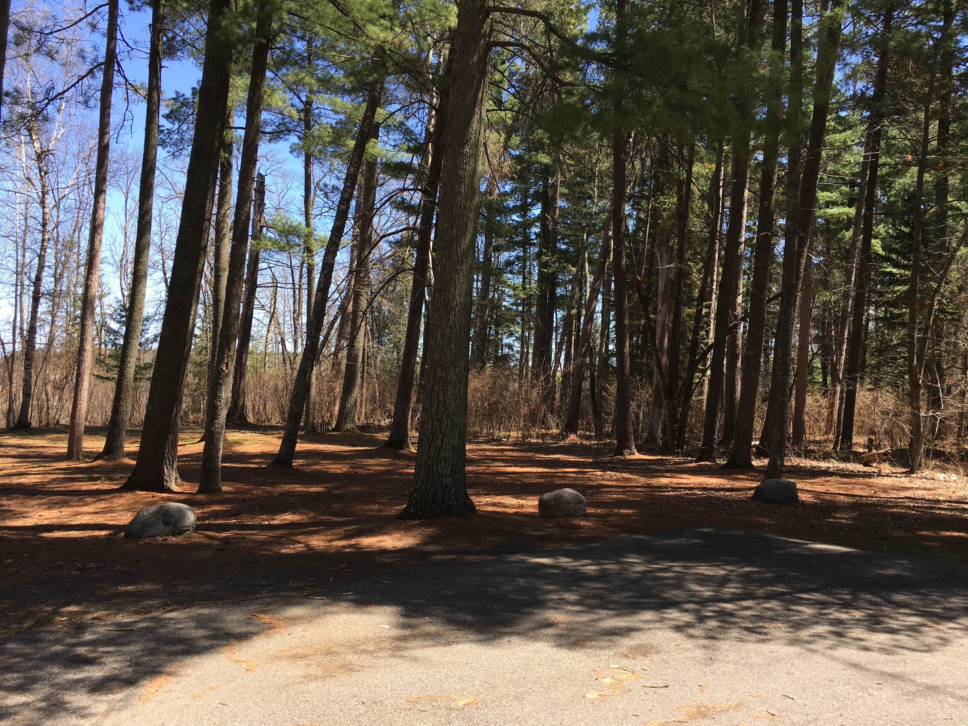 Camper submitted image from Lake Bemidji State Park Campground - 2