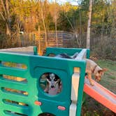 Review photo of Four Paws Kingdom Campground & Dog Retreat by Shelly S., November 30, 2020