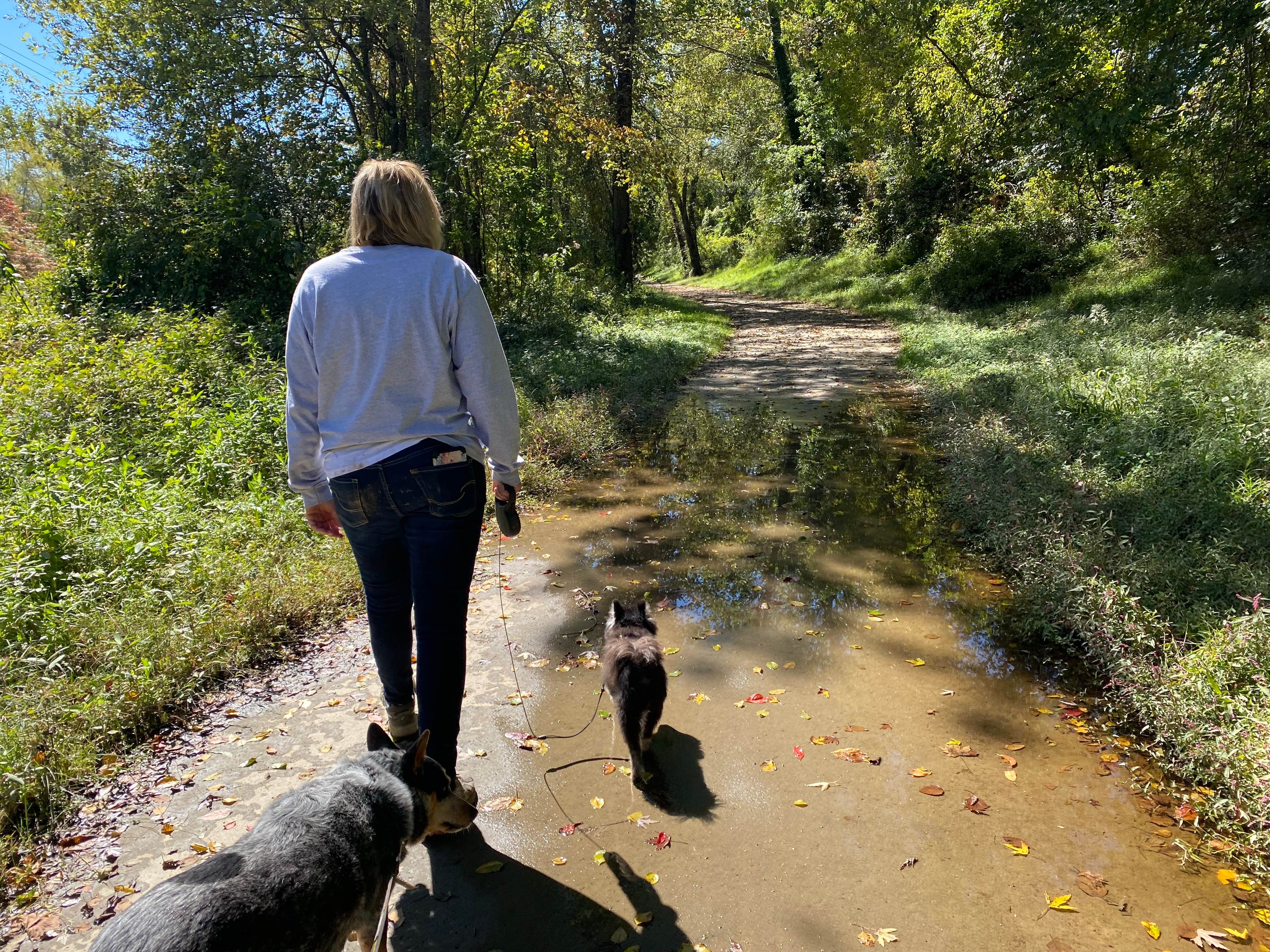 Camper-submitted photo at Four Paws Kingdom Campground & Dog Retreat near Landrum, SC