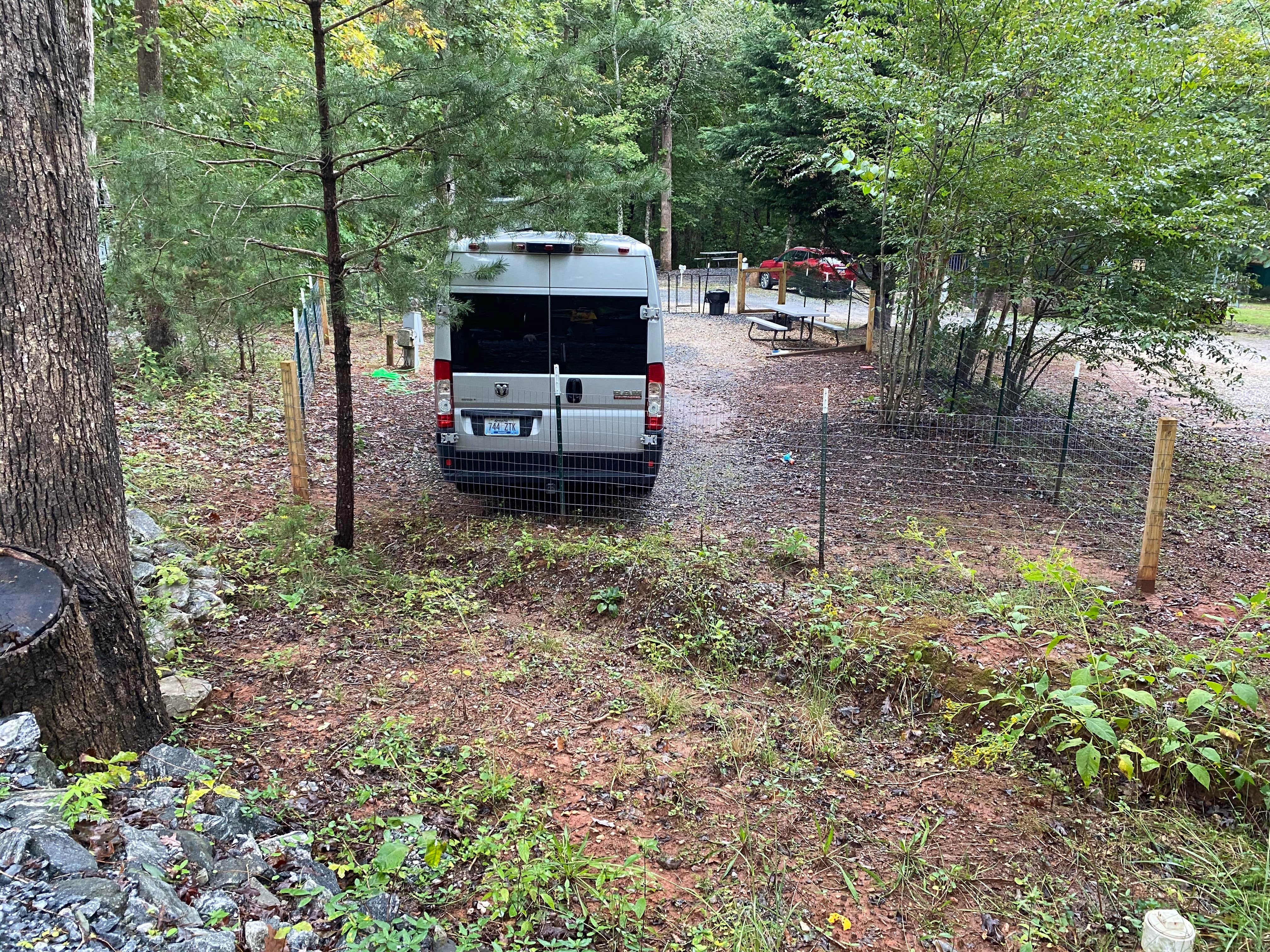 Camper-submitted photo at Four Paws Kingdom Campground & Dog Retreat near Landrum, SC
