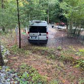 Review photo of Four Paws Kingdom Campground & Dog Retreat by Shelly S., November 30, 2020