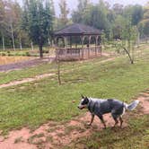 Review photo of Four Paws Kingdom Campground & Dog Retreat by Shelly S., November 30, 2020