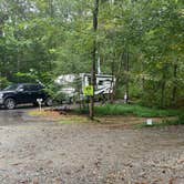 Review photo of Four Paws Kingdom Campground & Dog Retreat by Shelly S., November 30, 2020