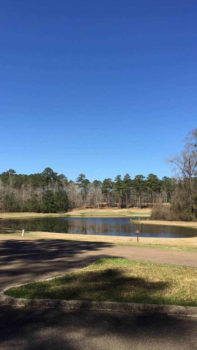 Camper-submitted photo at Percy Quin State Park Campground near Gloster, MS