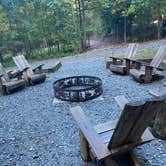 Review photo of Four Paws Kingdom Campground & Dog Retreat by Shelly S., November 30, 2020