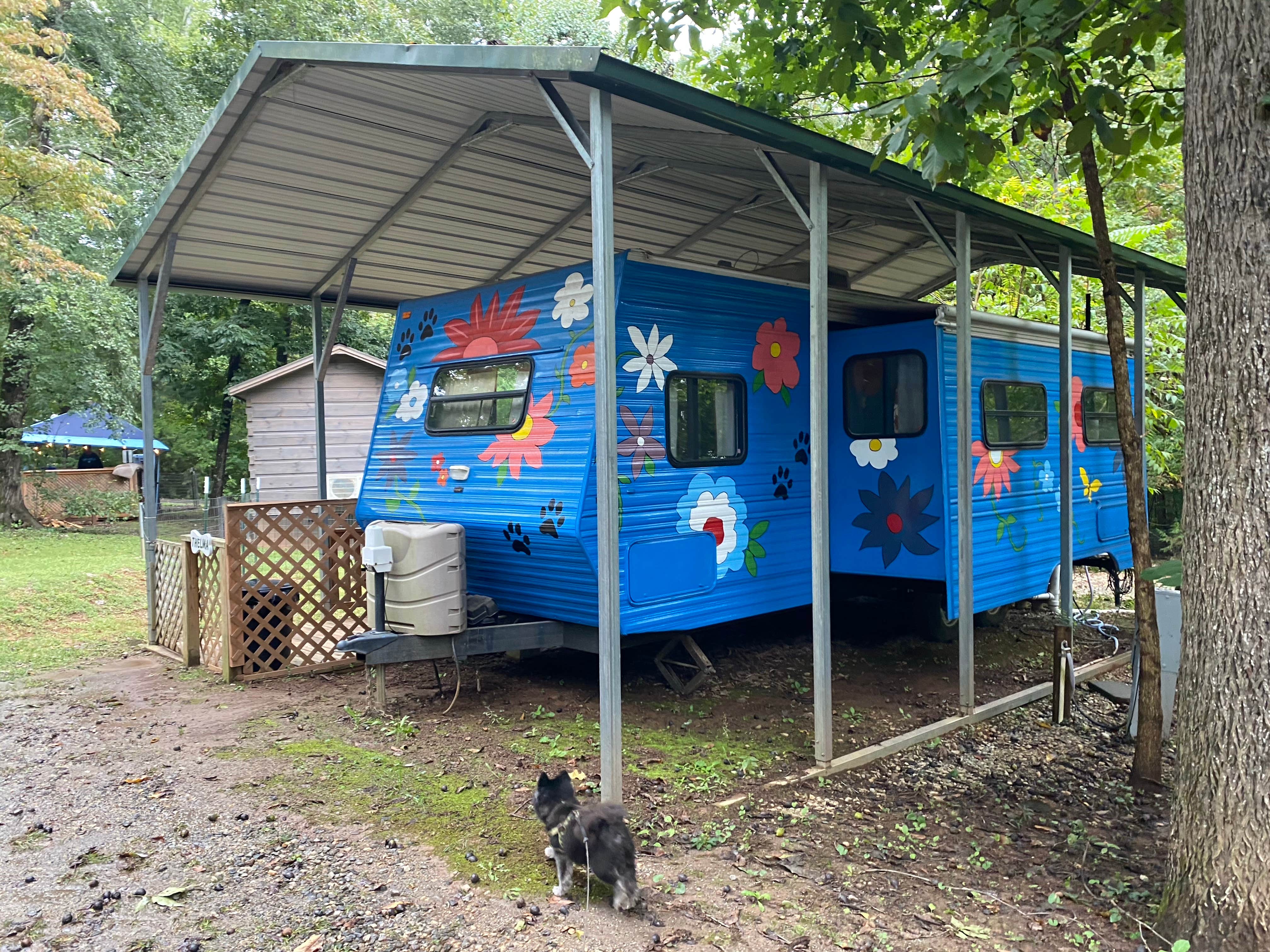 Camper-submitted photo at Four Paws Kingdom Campground & Dog Retreat near Landrum, SC