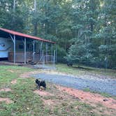 Review photo of Four Paws Kingdom Campground & Dog Retreat by Shelly S., November 30, 2020