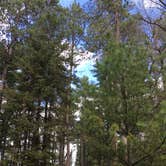 Review photo of Lake Bemidji State Park Campground by Janet R., May 24, 2018